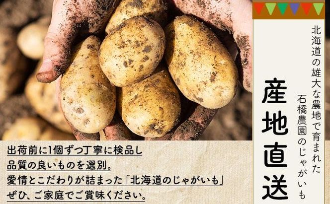 新じゃがいも じゃがいも ばれいしょ 野菜 10kg メークイン 新じゃがいも じゃがいも ばれいしょ 野菜 10kg メークイン じゃがいも