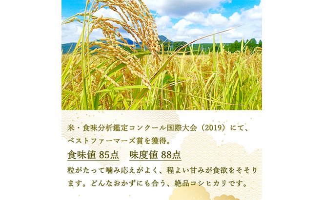 定期便 12ヶ月 ベストファーマーズ賞受賞 コシヒカリ 無洗米 2kg 無農薬 無添加 令和7年産 お米 チャック付 チャック 小分け 少量 少量パック 白米 精米 一等米 産地直送 送料無料 長野 定期 12回