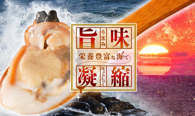 北海道野付産 あさり ボイルむき身 640g(160g×4)【NK0000RO0】