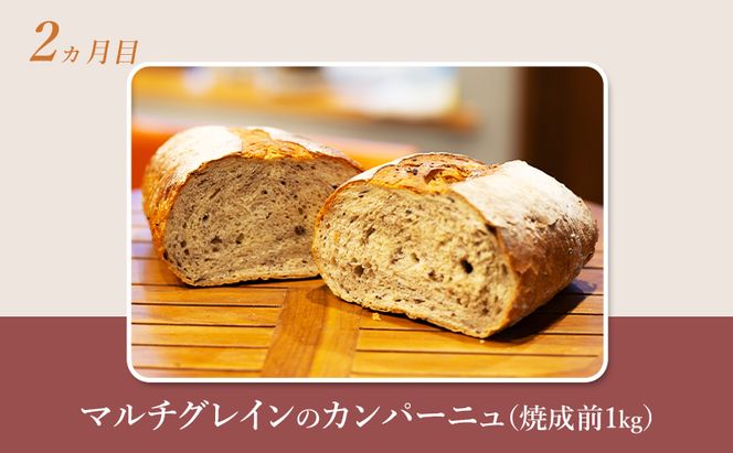 【 定期便 4ヵ月 】本場欧州のハード系パン 4種類 80%ライ麦パンと特製カンパーニュ 焼成前計3.9kg パン ライ麦パン カンパーニュ ハード系パン 冷凍