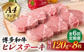 【全6回定期便】【厚切ヒレステーキ】120g×8枚 A4ランク 博多和牛 糸島市 / 糸島ミートデリ工房 [ACA291] ステーキヒレ ヒレ肉フィレヘレ牛肉赤身黒毛和牛国産博多和牛