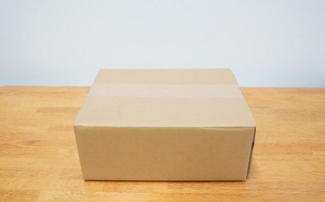 〈訳あり〉【大容量・ブロック塊】　煮豚　計1.6kg（3～5本）チャーシュー 焼き豚 ラーメン 肉 豚肉 ブタ肉 豚バラ おつまみ ボリューム 晩酌 お弁当 おかず 丼 チャーハン たれ 醤油 欲張り ご飯のお供 時短料理 H166-034