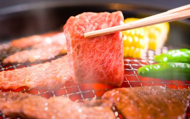 肉の横綱　伊賀牛１/2まるごと食べ尽くし cook0045