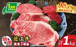 【1週間以内発送】A5等級 未経産雌限定 特撰近江牛ステーキ 厳選３種盛 合計1kg【FO16W】