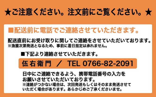 【伍右衛門】新湊産本ズワイガニ約500g×2尾｜海鮮 お祝い 集まり メニュー 冬の味覚 新鮮 国産 富山県産 ※2026年11月～発送 ※発送まで1か月以上かかる場合があります。
