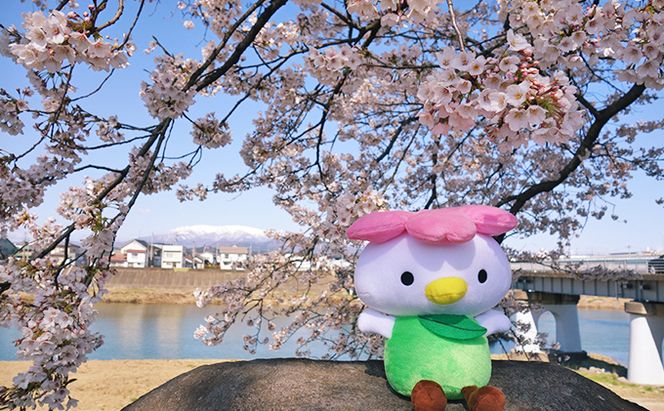 大河原町観光PRキャラクター「さくらっきー」ぬいぐるみ20cm 雑貨 観光地 小物 