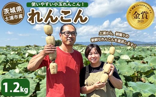 土浦市産 れんこん 1.2㎏　使いやすい小玉れんこん！ すずき蓮根農園の口福れんこん「松の小箱」 ｜ 産地直送 茨城県 レンコン 蓮根 野菜 シャキシャキ ※離島への配送不可 ※2026年1月上旬頃より順次発送予定