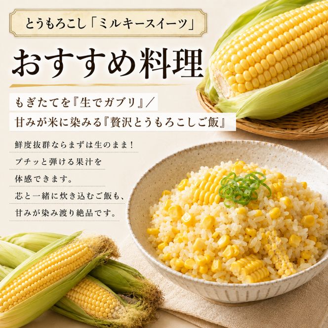 小笠原農園の有機とうもろこし「ミルキースイーツ」16本【北海道十勝幕別】《2026年8月出荷開始先行予約》【 スイートコーン コーン とうもろこし とうきび 黄色 野菜 夏 北海道 幕別町 】 