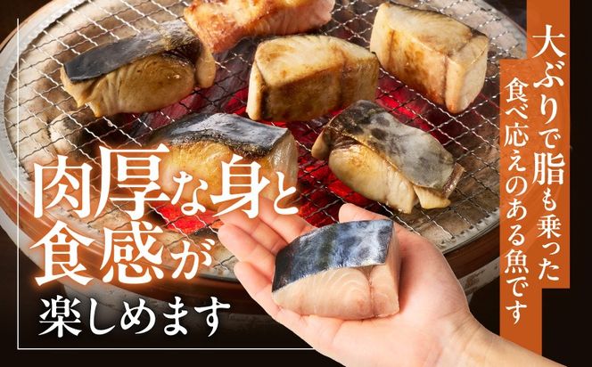 G4008 【定期便】さわら 切身 約50g×20切れ 全3回【お弁当サイズ 小分け 漁師 手切り 1kg 泉州 鰆 切り身 弁当 朝食 時短 訳あり サイズ不揃い 規格外 冷凍食品】