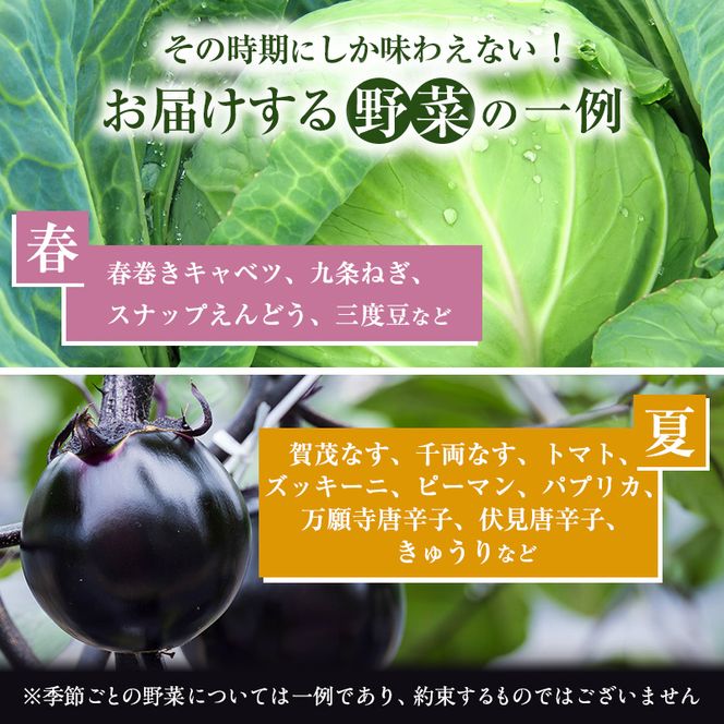 野菜 お米 【 定期便 12回 】 詰め合わせ セット 無農薬 野菜セット 米 2kg 栽培期間中農薬不使用 2キロ 京都 京野菜 丹波野菜 京都やおよし 産直 新鮮 オーガニック 腸活 タイパ 詰めあわせ 食育 健康 ギフト