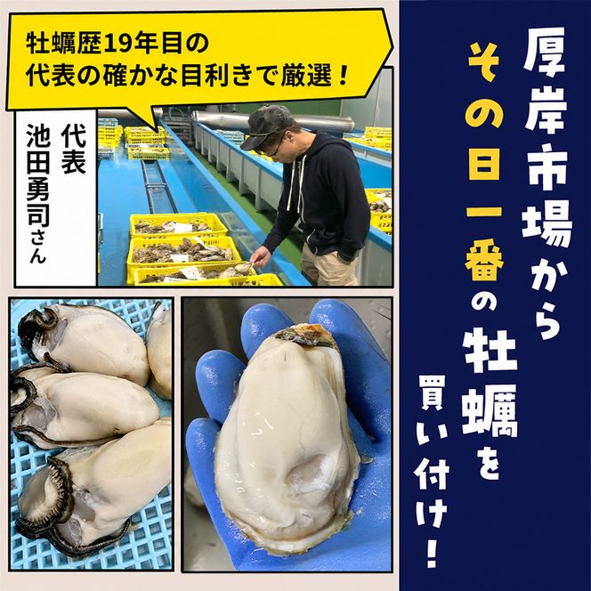 牡蠣 冷凍 むき身 訳あり 生食 北海道厚岸町産 大容量 1kg （200g×5パック） 解凍してすぐ生食・加熱両用 カキ かき 魚介類 （マルユウ海楽）