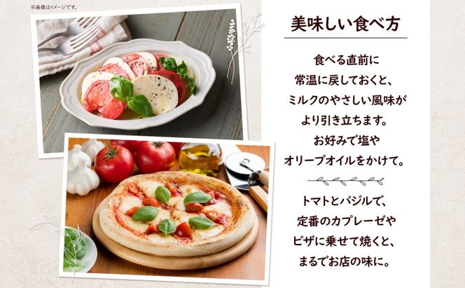 モッツアレラチーズ 100g×2個セット