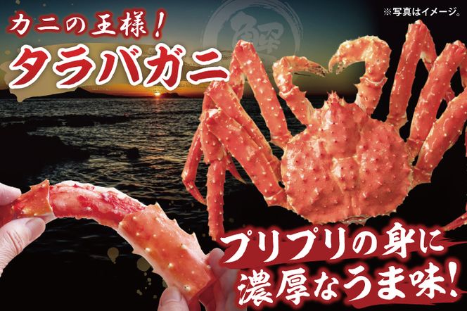 ボイルたらばがに シュリンクパック 総重量2.1ｋｇ（内容量1.9ｋｇ） タラバガニ タラバ蟹 たらば かに ボイル シュリンク かに鍋 蟹鍋 かにしゃぶ 蟹しゃぶ