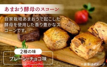 コンポート ・ スコーン お試しセット 糸島市 / TANNAL [ATB034] あまおう いちご 苺 スイーツ 焼き菓子 スコーン コンポート ソース ジャム