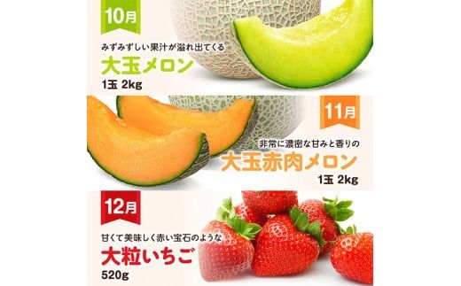 【 12ヶ月定期便 】 超 プレミアム デラックス 定期便 【 川南町産 くだもの きんかん いちご 完熟 マンゴー ぶどう ピオーネ シャイン マスカット 大玉 メロン 】[D11718t12]