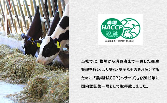 富良野　藤井牧場　4種のチーズセット