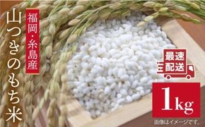 【年内発送】福吉産・ 山つき の もち米 1kg  《糸島》【二丈赤米産直センター】 [ABB027] 糯米 餅 おこわ
