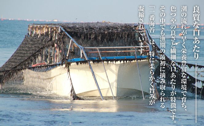 新海苔使用 わさび味のり 8切×5枚×16袋（板のり10枚）×5袋