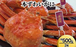 本ずわいがに約500g×2尾 ※2025年11月中旬～2026年3月中旬頃に順次発送予定