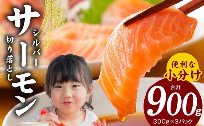 010B1195 サーモン 切り落とし 900g 小分け 300g×3 【訳あり サイズ不揃い 刺身 海鮮丼 サラダ カルパッチョ 鮭 さけ シャケ しゃけ sake 人気 オススメ 小分け  冷凍 家計応援 消費応援 物価高応援】