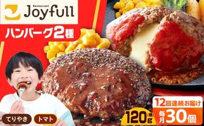 【全12回定期便】ジョイフル ハンバーグ スペシャル 詰め合わせ 2種 30個 セット《築上町》【株式会社　ジョイフル】[ABAA080]