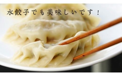 手作り！ 冷凍 餃子 セット ( 通常餃子・ローズポーク餃子 ) 国産豚肉 国産野菜 肉 お肉 豚肉 中華 冷凍 詰め合わせ セット [CQ001ci]