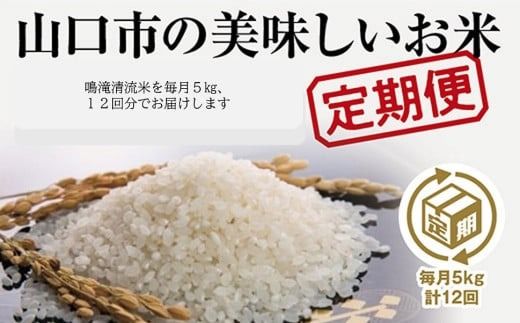 A078 山口の美味しいお米定期便　5㎏×12回（白米）