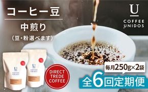 【全6回定期便】中煎り コーヒー 豆 ウニドスブレンド 250g × 2袋 ( 豆 ・ 粉 選べます ) 糸島市 / COFFEE UNIDOS [AQF022] 珈琲 カフェ コーヒー粉