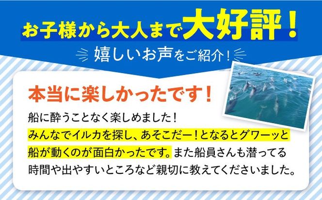 南島原 イルカウォッチング 4人用チケット / イルカ 観光 南島原市 / 南島原イルカウォッチング[SAE002]