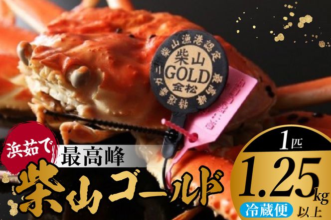 【先行予約】柴山がに 浜茹で 柴山ゴールド 柴山港認定ゴールドタグ付き 最高級柴山がに ボイル後重量1.25kg 冷蔵【令和8年11月中旬以降発送予定】 カニ かに 蟹 兵庫県 香美町 香住 カネニ 06-03