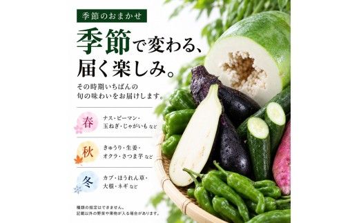 朝どれ！野菜の詰合せ 3ヶ月定期便 芸西村で採れた新鮮な野菜6～8種類をお届けします。 野菜 野菜詰め合わせ 野菜セット 詰め合わせ ナス ピーマン 