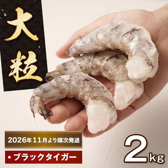 至福の大粒むきえび　背ワタ処理済 2kg【2026年11月より順次発送】　えび