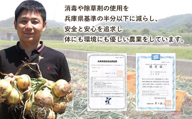 淡路島の牛肉とたまねぎ使用　今井ファームビーフカレー　200ｇ×10食　　レトルトカレー 保存食 ご当地カレー