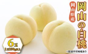 桃 2026年 先行予約 白桃 6玉（1玉250g以上） もも モモ 岡山県産 国産 フルーツ 果物 ギフト 果物類 