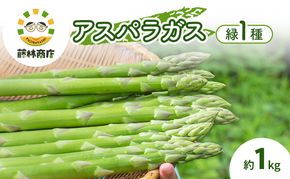 【2026年春発送】数量限定 グリーン アスパラガス 約1kg 北海道 富良野 新鮮 野菜