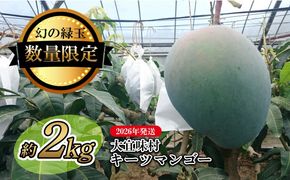 【2026年発送】大宜味村キーツマンゴー約2kg【数量限定】 数量限定 先行予約 沖縄 甘味 糖度 濃厚 おいしい お土産 まんごー キーツ 果物 くだもの 果実 送料無料 ふるさと納税 ２キロ トロピカル 化粧箱入り 食べ物 フルーツ