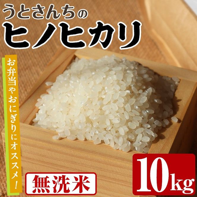 無洗米 ヒノヒカリ (10kg) 国産 米 お米 コメ 白米 ひのひかり ごはん ご飯 お弁当 おにぎり 【うとさんち】akn067-20