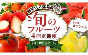 【 野菜ソムリエ 厳選 】 旬 の フルーツ 定期便 ( アールスメロン スタート ) 4回 先行予約 果物 いちご イチゴ 苺 とちおとめ やよいひめ かおり野 すいか 小玉スイカ ピノガール トマト フルーツトマト メロン アールスメロン 新鮮 おすすめ ソムリエ 野菜 [AF097ci]