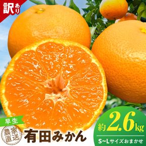 《2026年12月上旬～12月下旬頃までに順次発送予定》【2026年先行予約】【数量限定】有田みかん 早生 約2.6kg 訳あり_TR1004