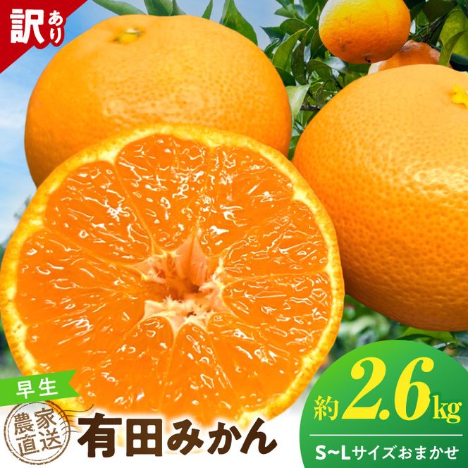 《2026年12月上旬～12月下旬頃までに順次発送予定》【2026年先行予約】【数量限定】有田みかん 早生 約2.6kg 訳あり_TR1004