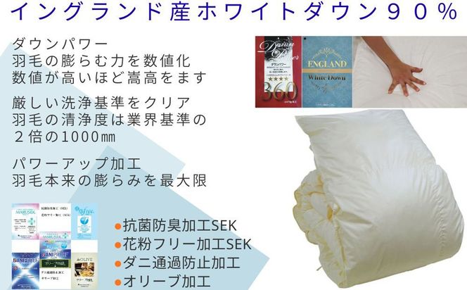 羽毛布団【イングランド産ホワイトダウン90%】【ダウンパワー360】セミダブル CK524