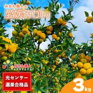 【先行予約】訳あり 愛媛みかん 3kg 人気 みかん 冬 秋 旬 厳選 光センサー選果 柑橘 かんきつ 果物 くだもの 国産  少量 お試し フルーツ スイーツ デザート ご褒美 みかん 蜜柑 大小 サイズ ミックス 不揃い 傷 温州 温州みかん 美味しい 農家直送 地場産品 こだわり みかん職人武田屋 愛媛県 愛南町