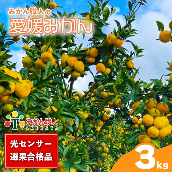 【先行予約】訳あり 愛媛みかん 3kg 人気 みかん 冬 秋 旬 厳選 光センサー選果 柑橘 かんきつ 果物 くだもの 国産  少量 お試し フルーツ スイーツ デザート ご褒美 みかん 蜜柑 大小 サイズ ミックス 不揃い 傷 温州 温州みかん 美味しい 農家直送 地場産品 こだわり みかん職人武田屋 愛媛県 愛南町
