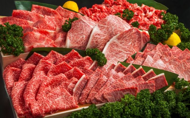 【月3×6回　計18回発送】肉の横綱　伊賀牛１/2まるごと食べ尽くし cook-tkb0006