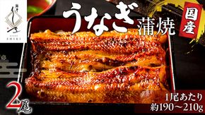 【 麻布しき 】 国産 鰻 蒲焼 × 2尾 鰻祭り  土用の丑の日 鰻祭り うなぎ ウナギ 冷凍 おいしい 蒲焼き かばやき たれ焼き 土用 丑の日 無頭 タレ 山椒 付 縁起 敬老の日 名店 老舗