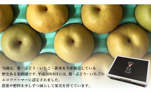 【 先行予約 】茨城県産 梨 品種おまかせお楽しみセット 約5kg 8玉～16玉 ( 茨城県共通返礼品 : 常陸太田市 )【 2026年 9月上旬頃より発送 】  フルーツ 果物 国産 日本産 梨 ナシ なし 和梨 期間限定 数量限定