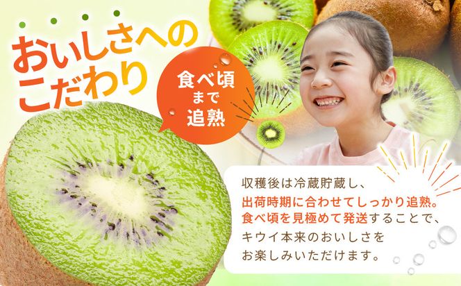 【先行予約】【有機栽培】追熟 キウイフルーツ 2.3kg【2026年12月上旬～2027年3月上旬発送】 142069_BW002