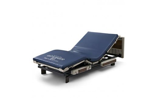 エアウィーヴ ウェルネスモデル マットレス M80-91RP