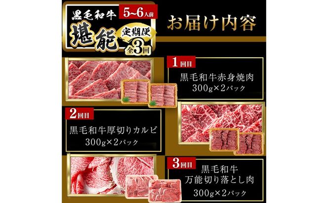 【定期便全3回】＜A4・A5等級＞黒毛和牛堪能〈お試し〉定期便（5～6人分）総重量1.8kg t0058-003