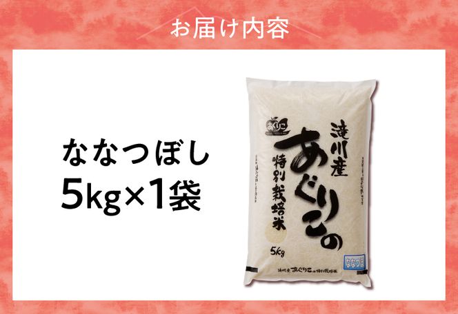 《令和7年産》特別栽培米ななつぼし 5kg | 16年連続特A ブランド米 白米 精米 米 お米 こめ 減農薬 単一原料米 ご飯 贈答 ギフト お試し 北海道米 北海道 滝川市